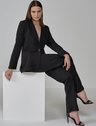 blazer liana conceito