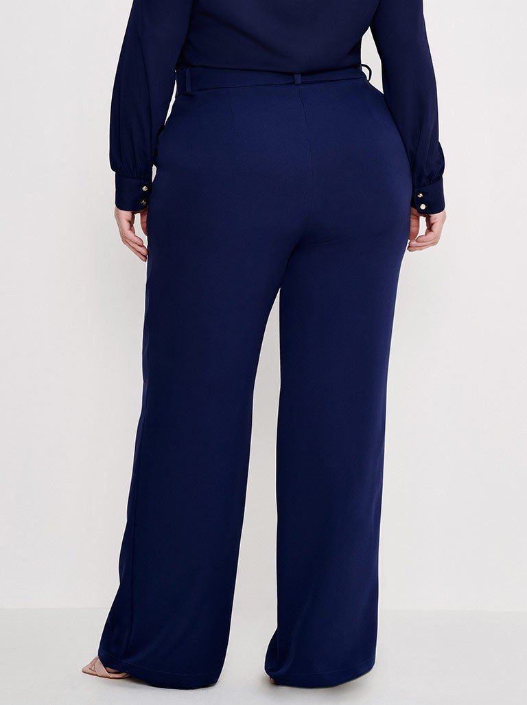 calca marinho wide leg cleonisse costas capa